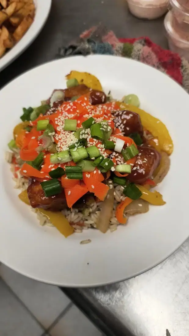 Assiette de poulet glacé au sésame sur riz aux légumes, garnie d’oignons verts
